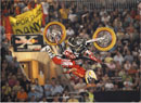 Red-Bull-Fighters1M